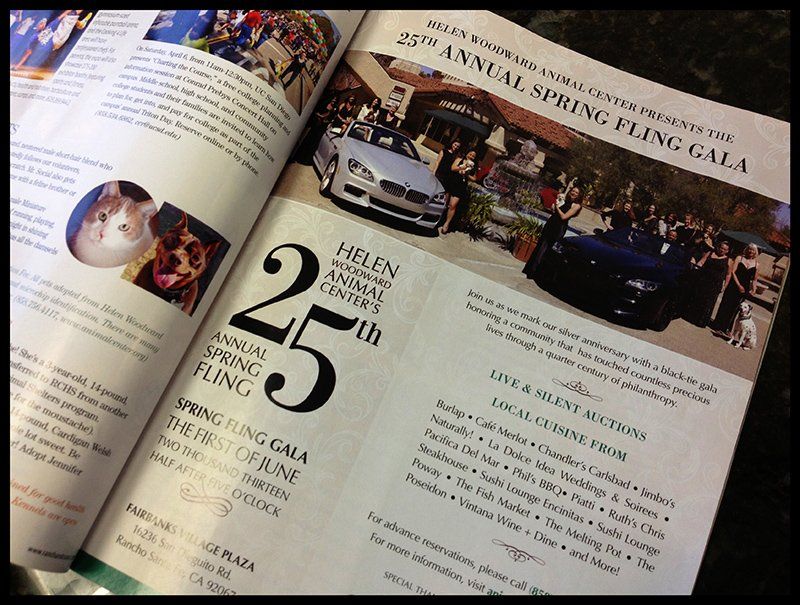 Amber spotted in Ranch and Coast!