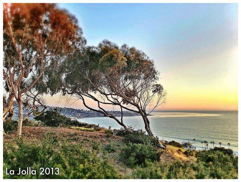 Scripps Memorial Hospital Physicians Appreciation Night