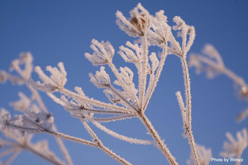 Top 5 Reasons Why Winter is the Best Time to Have Plastic Surgery