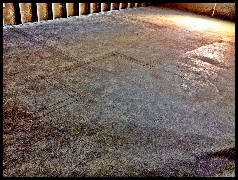 Day 1 - Walls are Going Up!